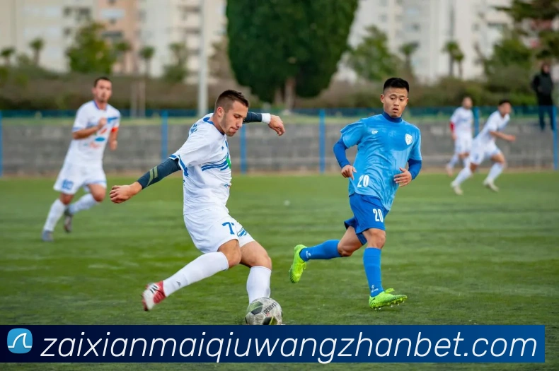 在线买球网站APP 封面图