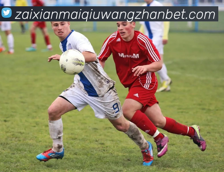 数据防护可视化